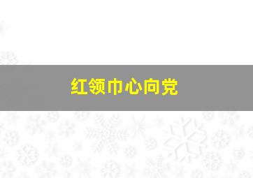 红领巾心向党