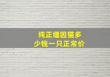 纯正缅因猫多少钱一只正常价