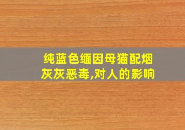 纯蓝色缅因母猫配烟灰灰恶毒,对人的影响