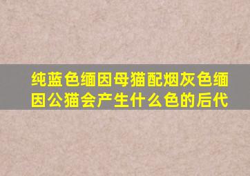 纯蓝色缅因母猫配烟灰色缅因公猫会产生什么色的后代