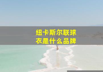 纽卡斯尔联球衣是什么品牌