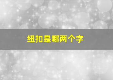 纽扣是哪两个字