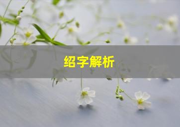 绍字解析