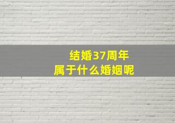 结婚37周年属于什么婚姻呢