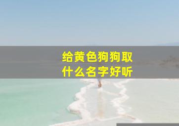 给黄色狗狗取什么名字好听