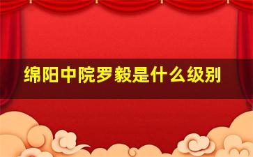 绵阳中院罗毅是什么级别