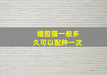 缅因猫一般多久可以配种一次