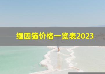 缅因猫价格一览表2023