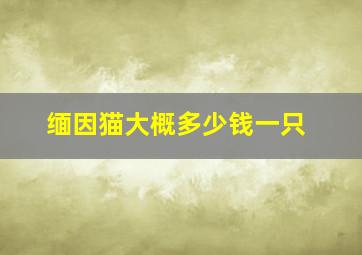 缅因猫大概多少钱一只