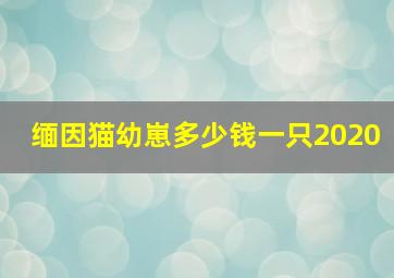 缅因猫幼崽多少钱一只2020