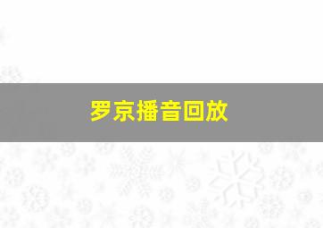 罗京播音回放