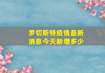 罗切斯特疫情最新消息今天新增多少