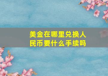 美金在哪里兑换人民币要什么手续吗