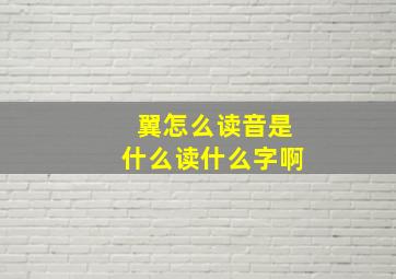 翼怎么读音是什么读什么字啊