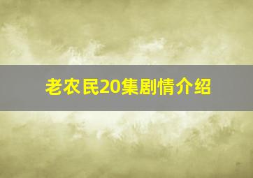 老农民20集剧情介绍