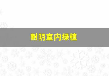 耐阴室内绿植