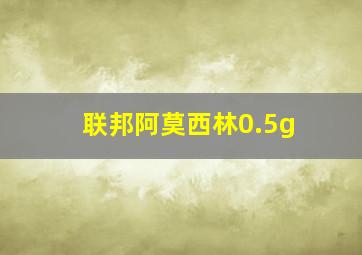 联邦阿莫西林0.5g