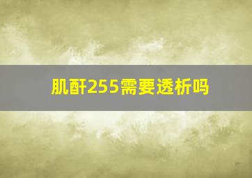 肌酐255需要透析吗