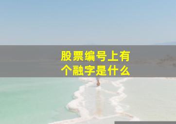 股票编号上有个融字是什么