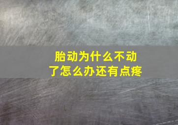 胎动为什么不动了怎么办还有点疼