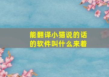 能翻译小猫说的话的软件叫什么来着