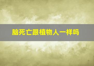 脑死亡跟植物人一样吗