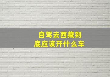 自驾去西藏到底应该开什么车