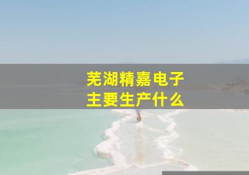 芜湖精嘉电子主要生产什么