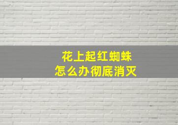 花上起红蜘蛛怎么办彻底消灭