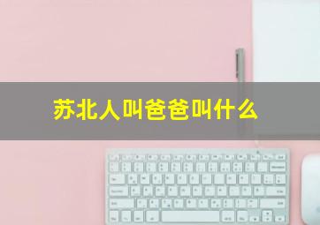 苏北人叫爸爸叫什么