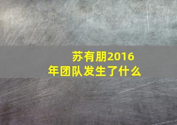 苏有朋2016年团队发生了什么