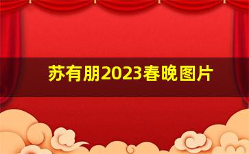 苏有朋2023春晚图片