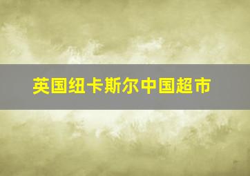 英国纽卡斯尔中国超市