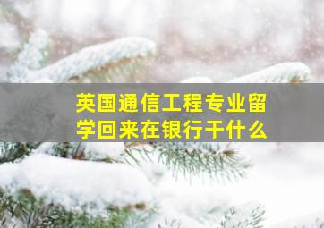 英国通信工程专业留学回来在银行干什么