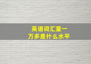 英语词汇量一万多是什么水平