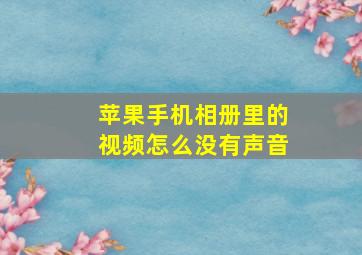 苹果手机相册里的视频怎么没有声音