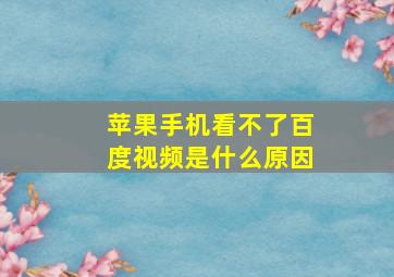 苹果手机看不了百度视频是什么原因