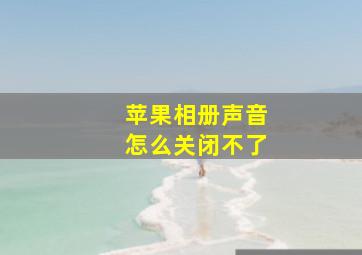 苹果相册声音怎么关闭不了