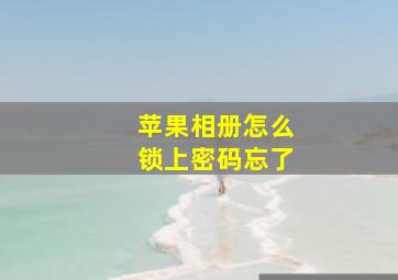 苹果相册怎么锁上密码忘了