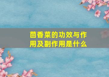 茴香菜的功效与作用及副作用是什么