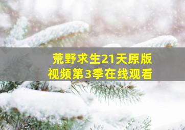 荒野求生21天原版视频第3季在线观看