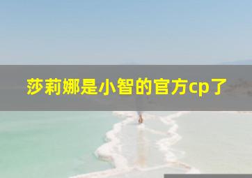 莎莉娜是小智的官方cp了