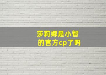 莎莉娜是小智的官方cp了吗