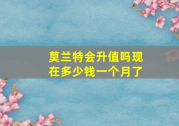 莫兰特会升值吗现在多少钱一个月了