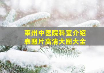 莱州中医院科室介绍表图片高清大图大全