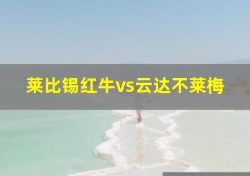 莱比锡红牛vs云达不莱梅