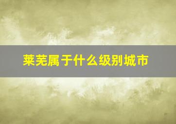 莱芜属于什么级别城市