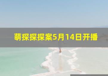 萌探探探案5月14日开播