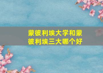 蒙彼利埃大学和蒙彼利埃三大哪个好