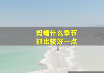 蚂蝗什么季节抓比较好一点